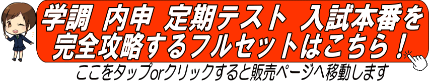 学調 内申 定期テスト 入試本番を完全攻略するフルセットはこちら！